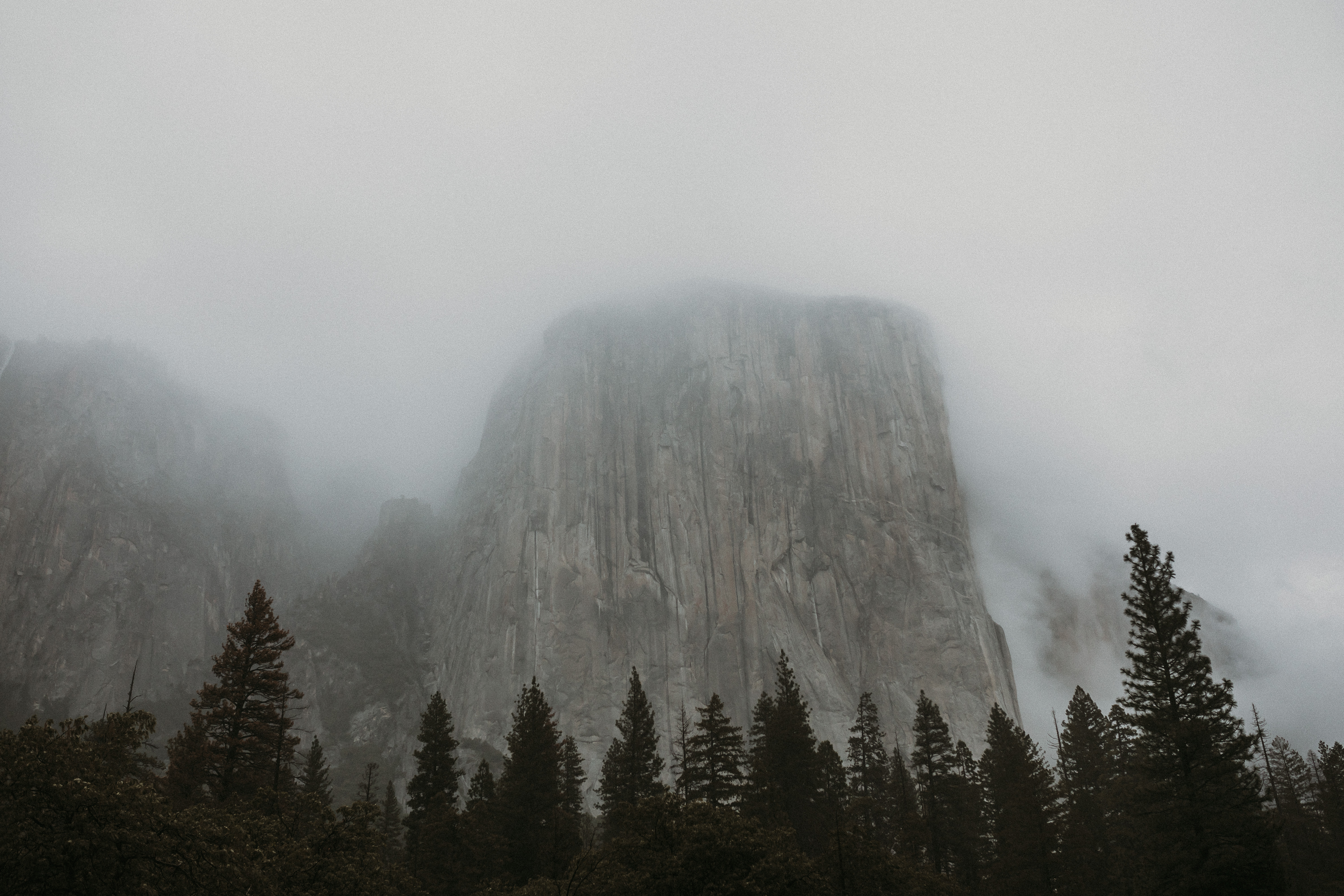 Fog covering the top of El Capitan in Yosemite National Park